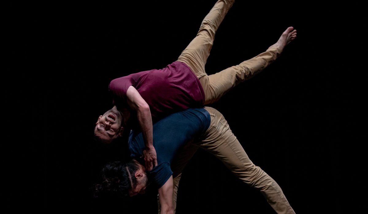 Compagnie MF : portée